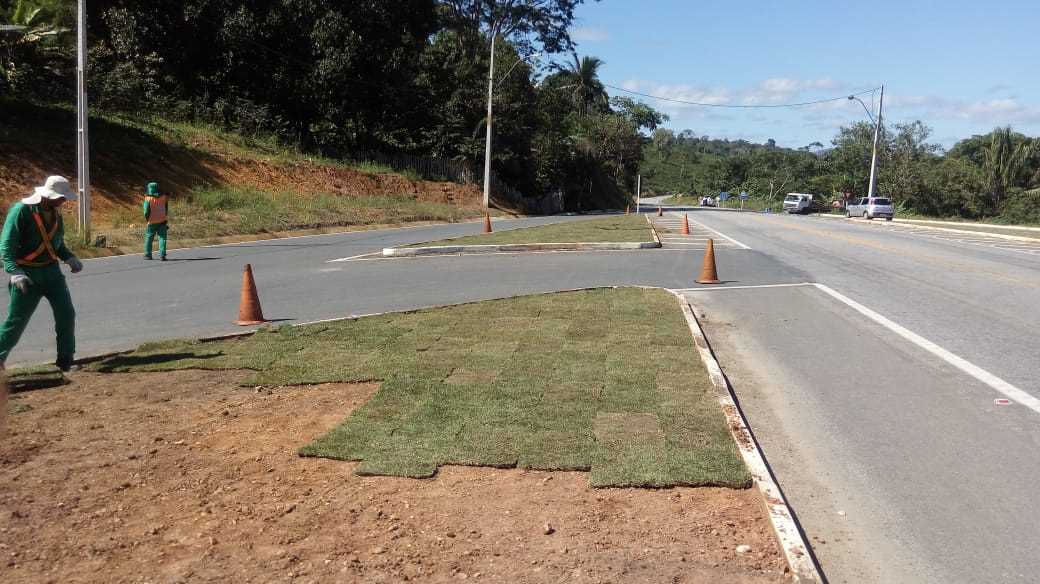 Camacã: Serviço de Jardinagem está sendo realizado no trevo